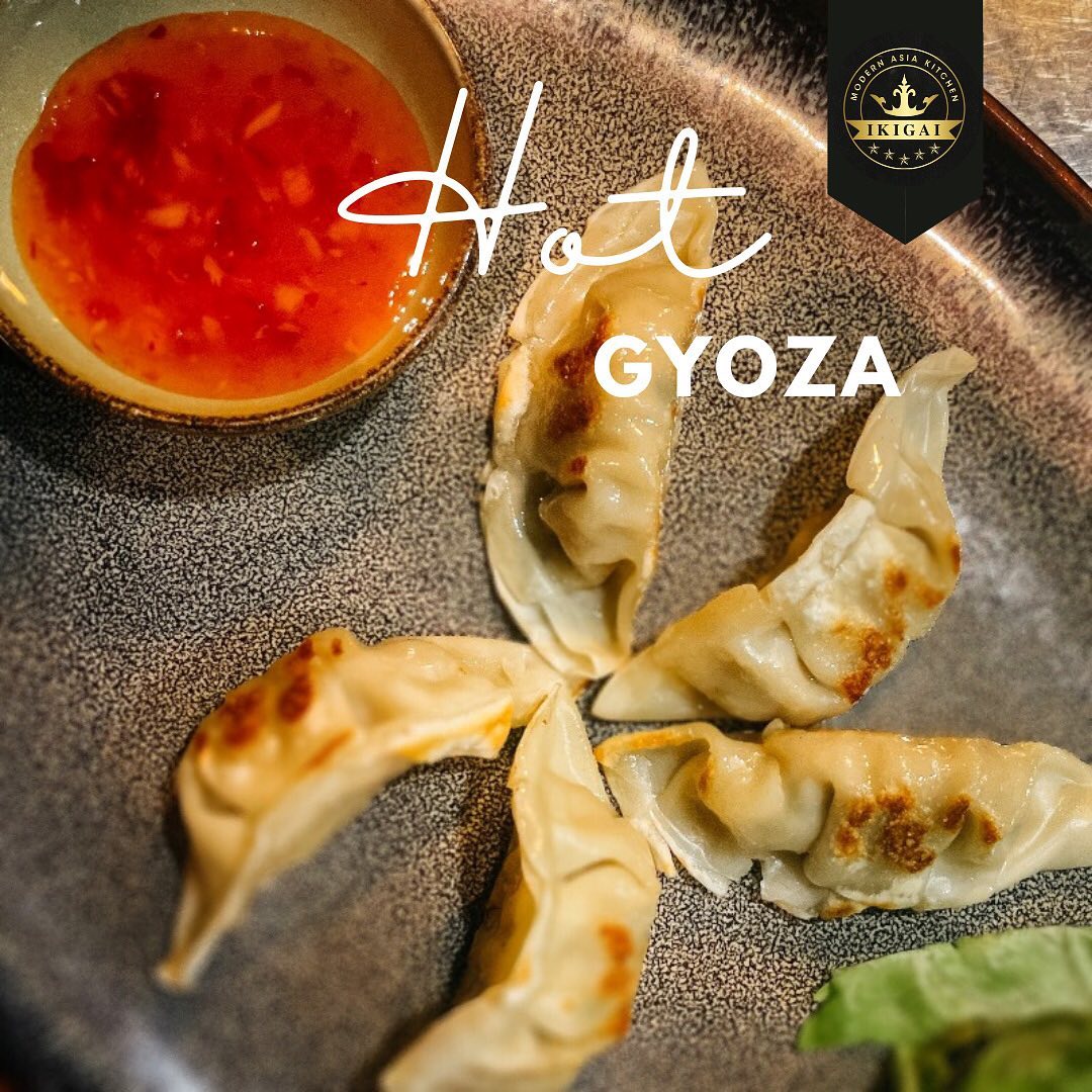 HOT GYOZA